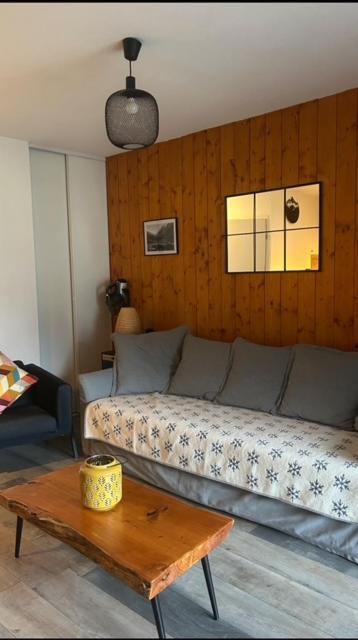 Appartement Tt Confort Au Coeur Des Montagnes Vue Sur Les Montagnes II Wifi Luz-Saint-Sauveur Eksteriør bilde